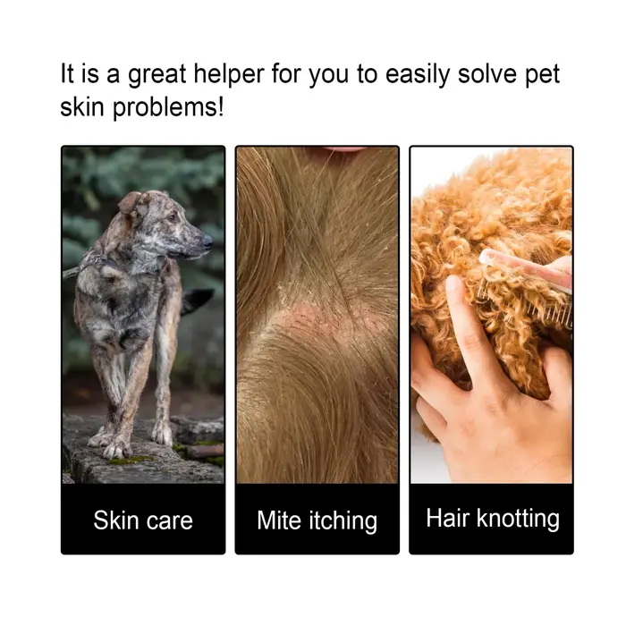 Essence de soin pour la peau des animaux de compagnie