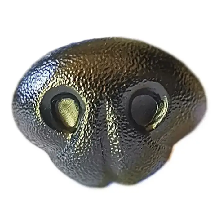 Nez de chien enfichable en plastique, accessoires de bricolage, artisanat, beurre animal noir, antar