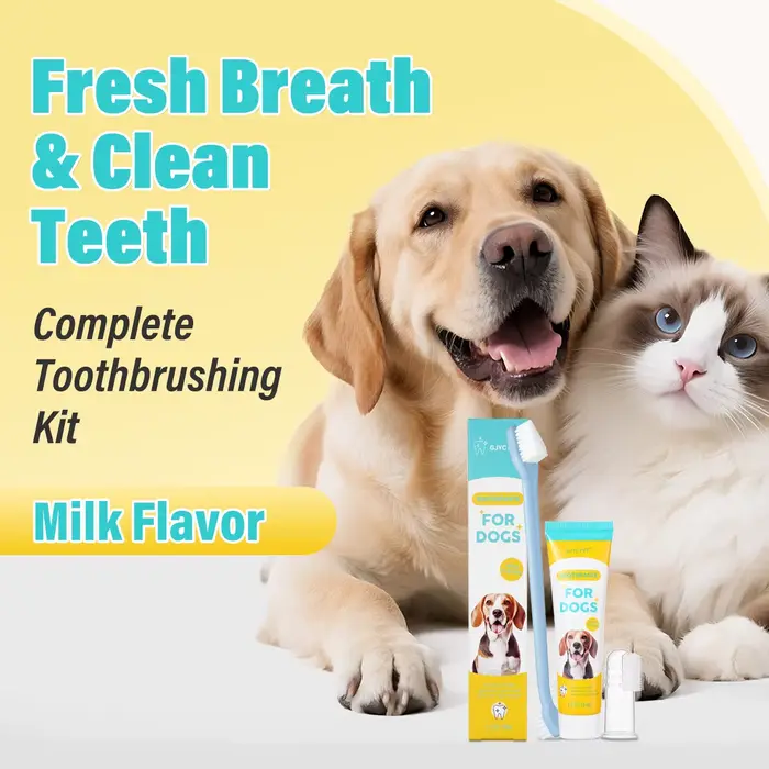 Kit de soins dentaires pour chiens et chats