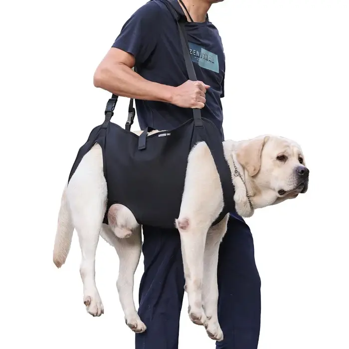 Harnais de soutien pour chien