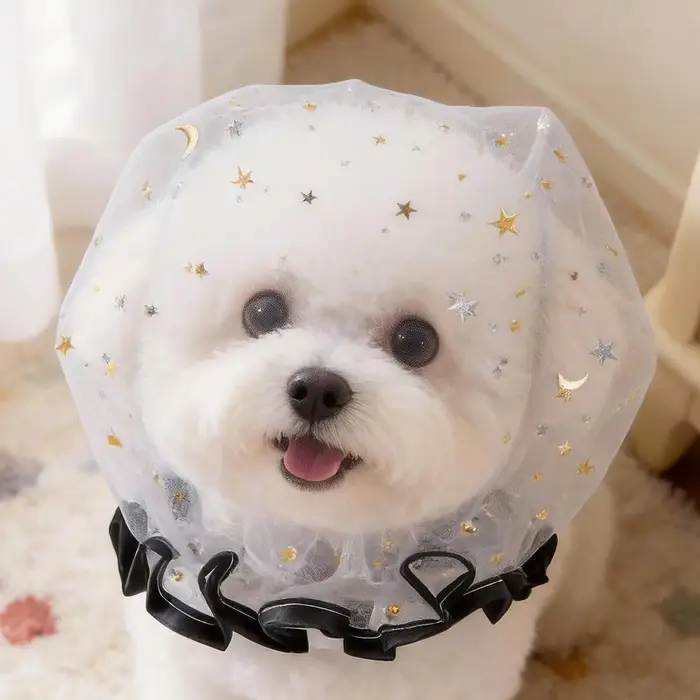 Muselière anti-épluchage pour chien