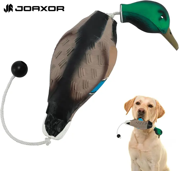 Leurre canard mort flottant pour entraînement chiens de chasse - Bumper durable pour retrievers - Gibier d'eau