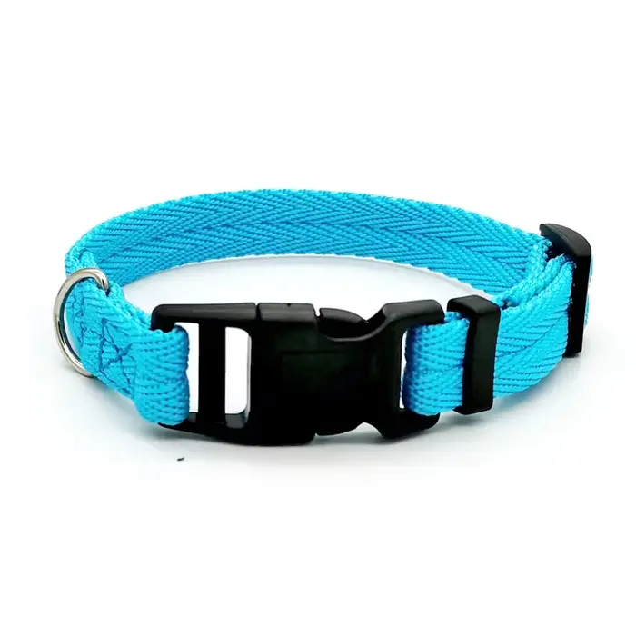 Collier Solide à Dégagement Rapide pour Chien de Taille Moyenne, Accessoire d'Entraînement pour Anim
