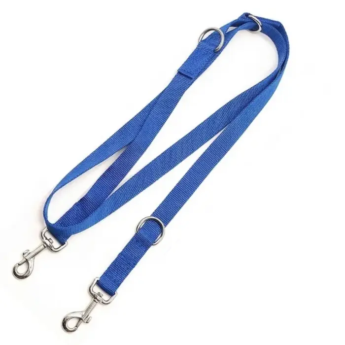 Laisse de chien mains libres pour extérieur, laisse de contrôle réglable pour l'entraînement et la s