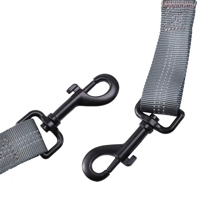2X laisse de chien de taille de mains avec double élastique