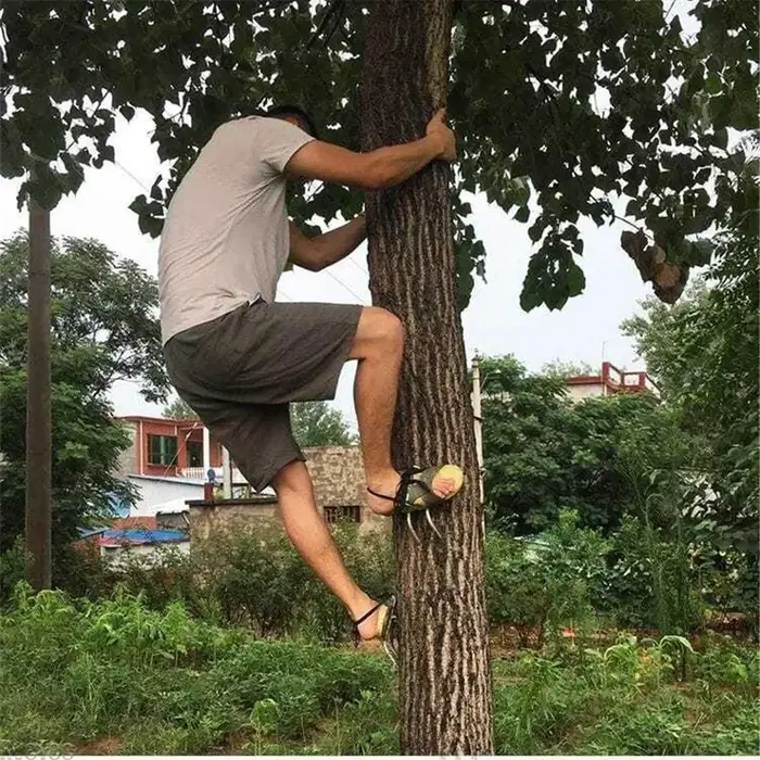 Outil d'escalade d'arbre