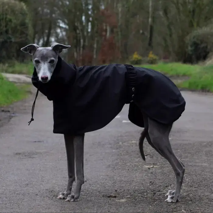 Imperméable pour chiens, confortable et respirant, imperméable pour chiots, vêtements imperméables p
