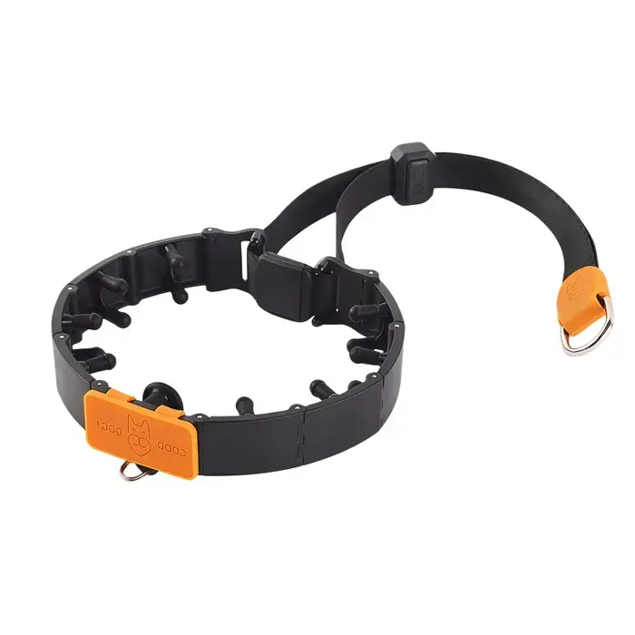 Ensemble de colliers de dressage professionnels pour chiens, comprenant une chaîne et des embouts en