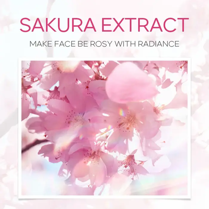 Ensemble de soins de la peau pour le visage, nettoyant, crème à l'essence de Sakura, toner hydratant