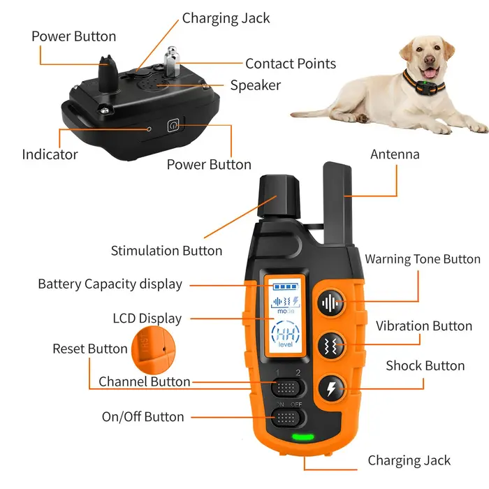 Collier de dressage électrique pour chien