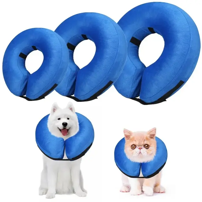 Cônes pour chiens après chirurgie