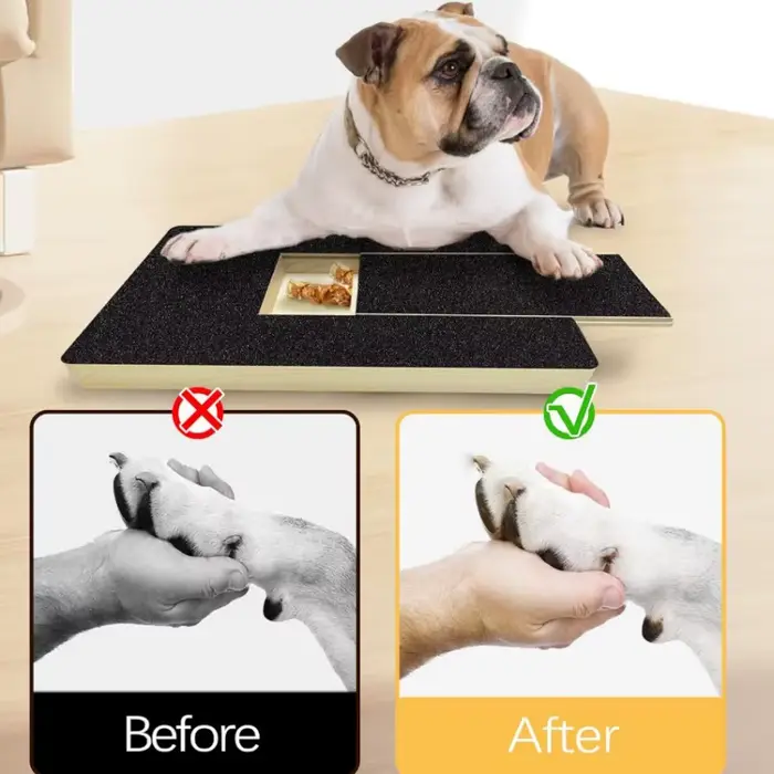 Planche à gratter pour ongles de chien