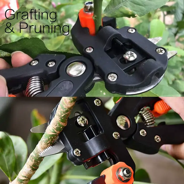 Sécateur de greffage de boîte à outils rouge professionnel, outil de jardin, sécateur de peaux, cise