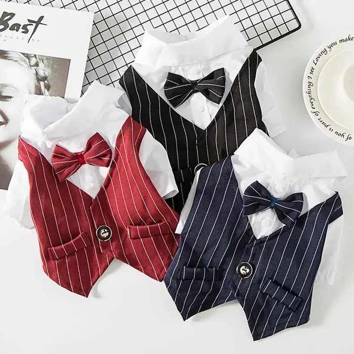 Robe pour chien et chiot de Style anglais