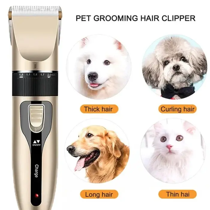 Tondeuse pour chien