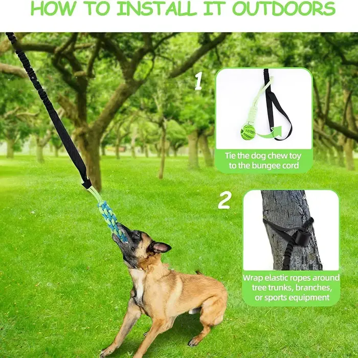 Jouet interactif pour chien