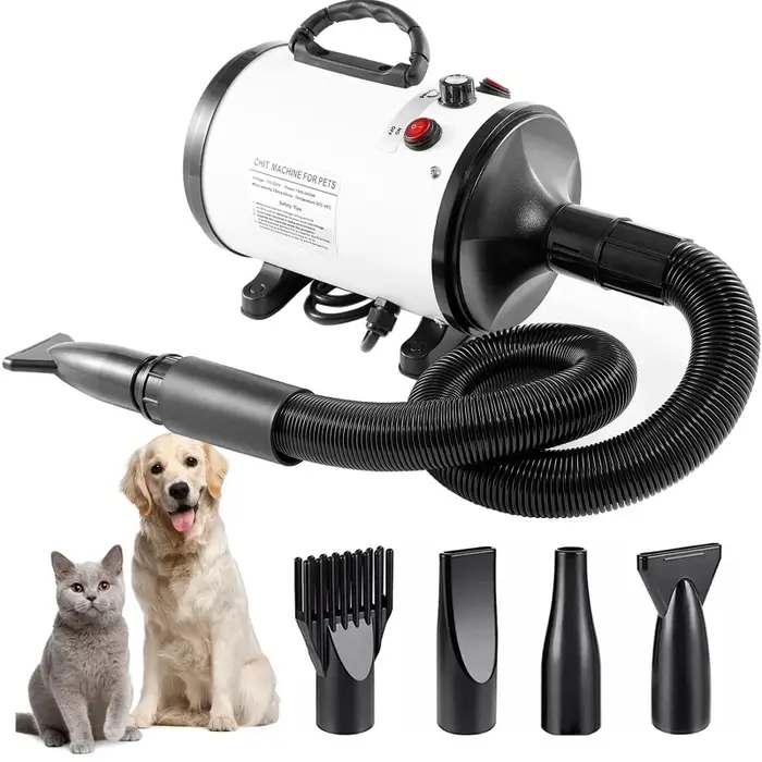 Sèche-cheveux pour animaux de compagnie, souffleur d'eau pour chien, haute puissance, faible bruit, 