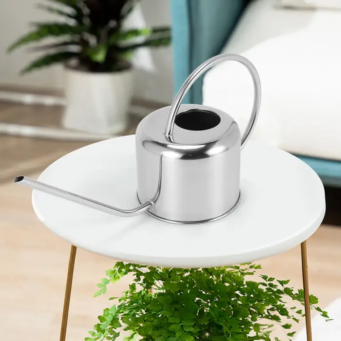 Arrosoir de jardinage européen en acier inoxydable, pot de douche domestique, petit arrosoir de fleu