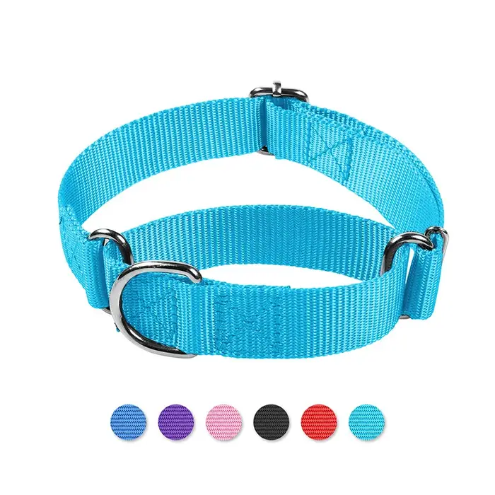 Collier de dressage Martingale pour chiens de petites à grandes races, en nylon réglable, anti-tract
