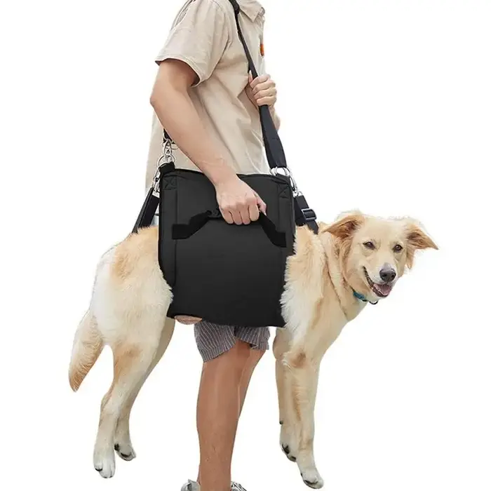 Sangle de soutien pour chiens grands et âgés respirante aide à la marche et au transport hiver été adapté à tous les chiens senior