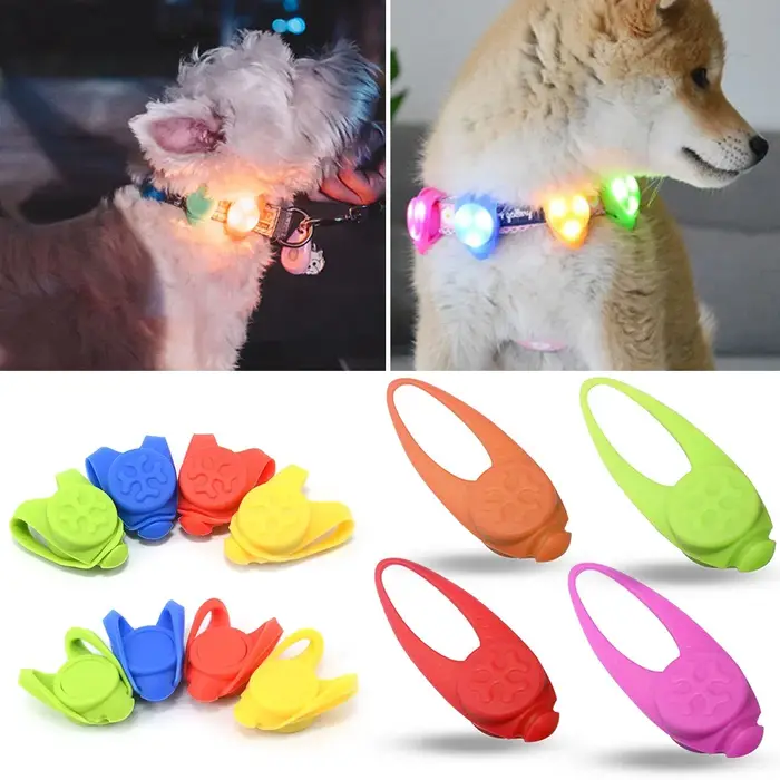 Lampe de poche LED de nuit pour chien et chat