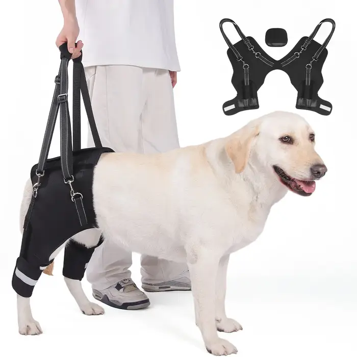 Harnais de soutien pour chiens âgés, aide à la mobilité, rééducation réglable, marche, orthopédique 