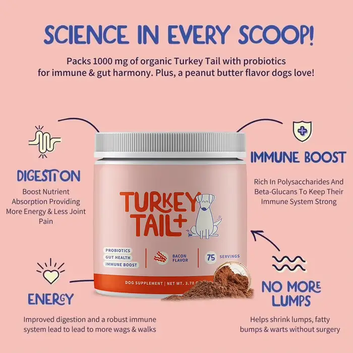 Compléments alimentaires de champignons Turkey Tail pour chiens