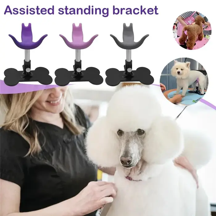 Tabouret de toilettage pour chiens