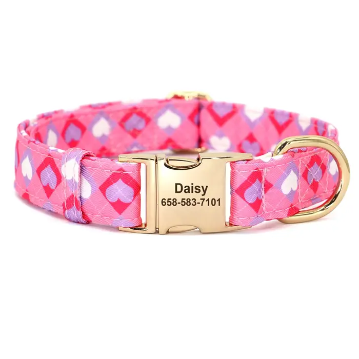 Collier de chien personnalisé imprimé pour fille avec nœud papillon floral, plaque d'identification 