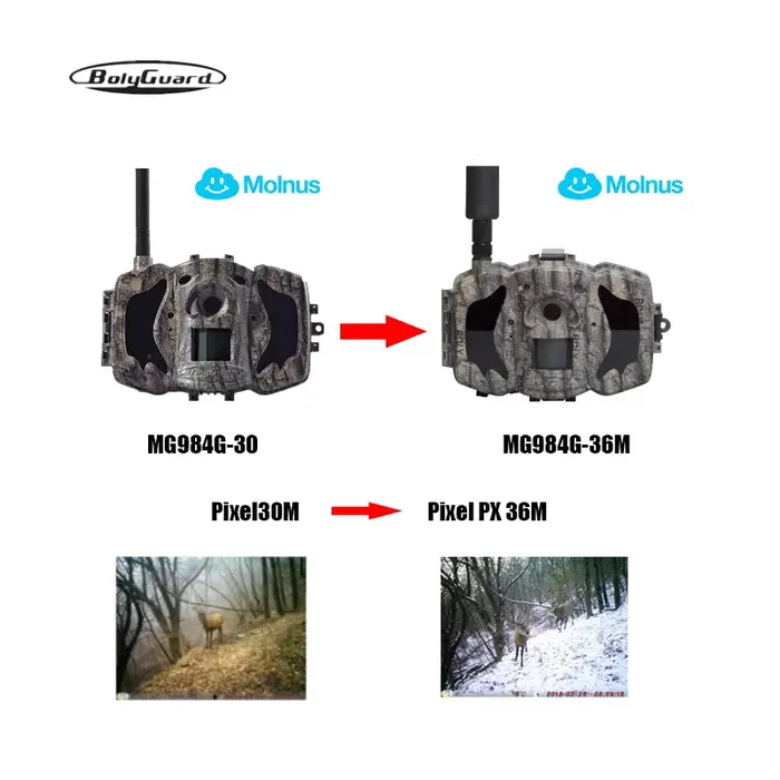 MG984G-36M caméra de chasse 4G 36M 1080P HD