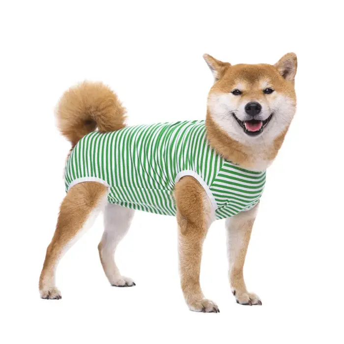 Combinaison de récupération pour chien pour après chirurgie, body Anti-léchage des plaies, combinais