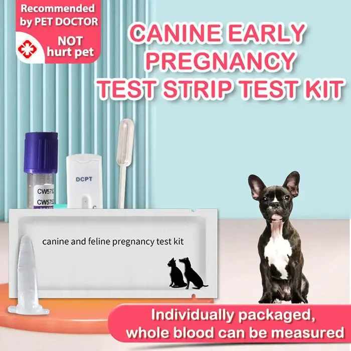 Carte de Test de grossesse pour chien et chat