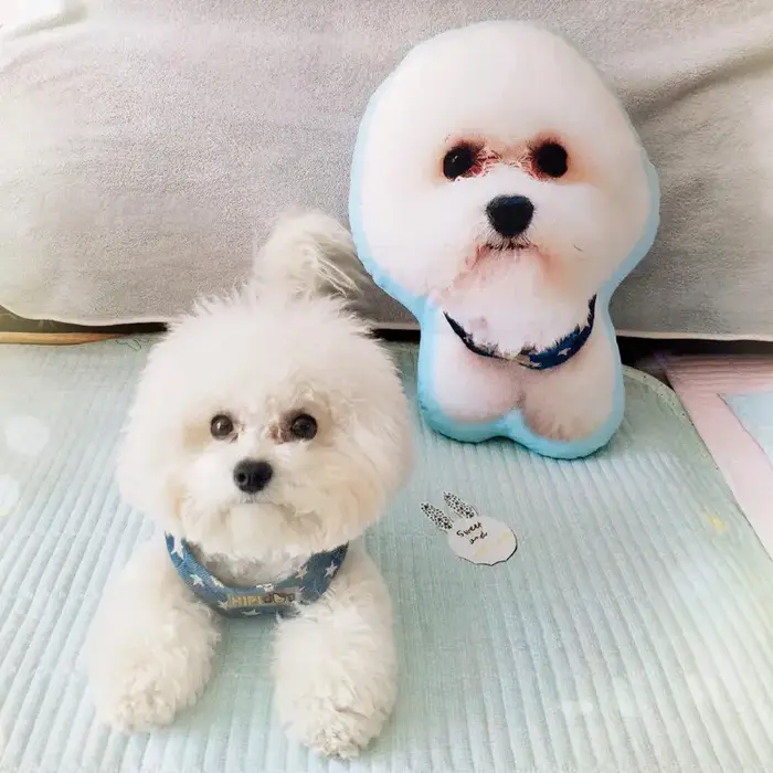 Coussin personnalisable pour chien en peluche avec motif de dessin animé, oreiller personnalisé pour animaux de compagnie, cadeau d'anniversaire unique, confort maximal et design moderne