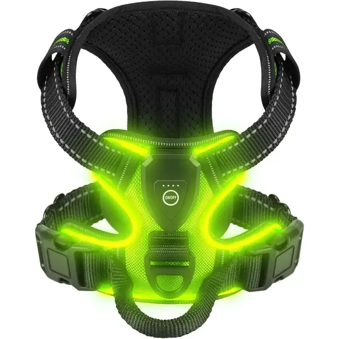 Harnais lumineux LED pour chien, rechargeable, gilet de sécurité pour la marche nocturne, 3 modes d'