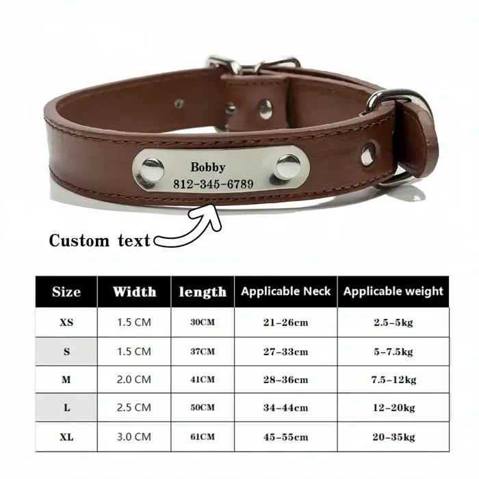 Collier de chien sculpté avec nom personnalisé, étiquette d'identification, Anti-perte, solide, en c