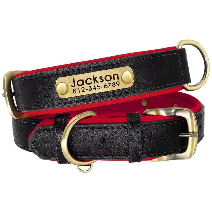 Collier de chien en cuir PU personnalisé colliers de chien rembourrés doux collier de nom d'identifi