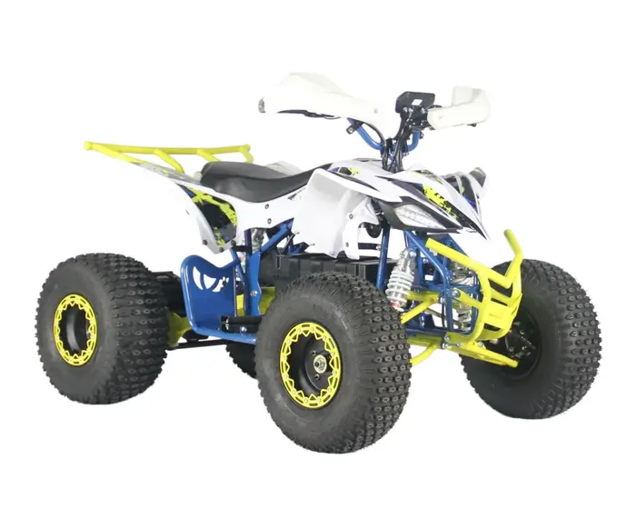 ATV Électrique à Haute Rentabilité - 48V - Polyvalente - Pour Excursion, Chasse, Travail Agricole - 4WD/2WD - Capacité de Charge 100-200kg - Batterie 48V - Certification CE