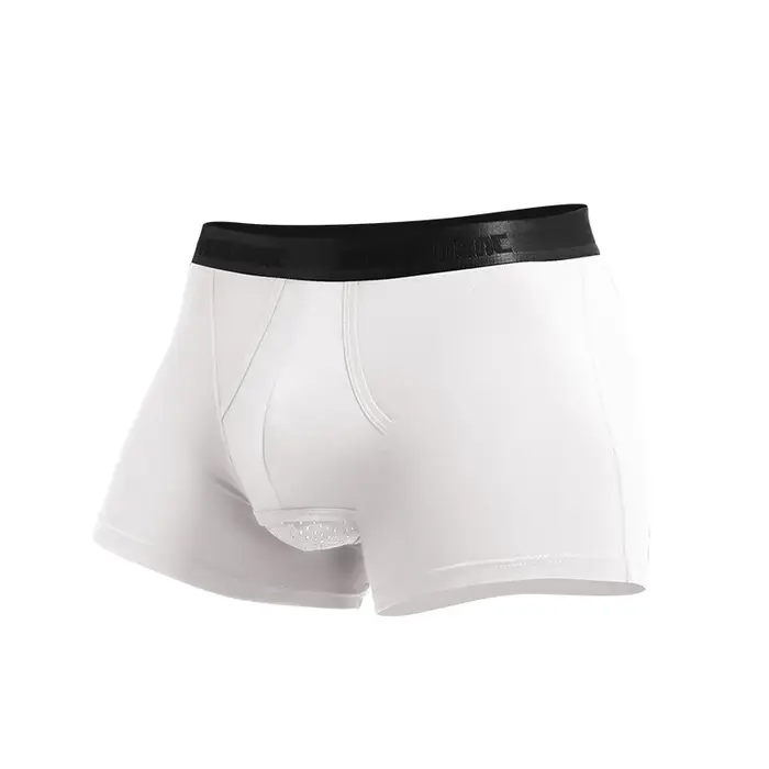 Sous-vêtements pour hommes avec poche séparée, tissu modal, soutien scrotal, caleçons boxer