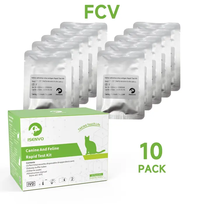 Kit de test de précision pour chat félin, calnorvirus FCV, écouvillon nasal et oculaire, détection d