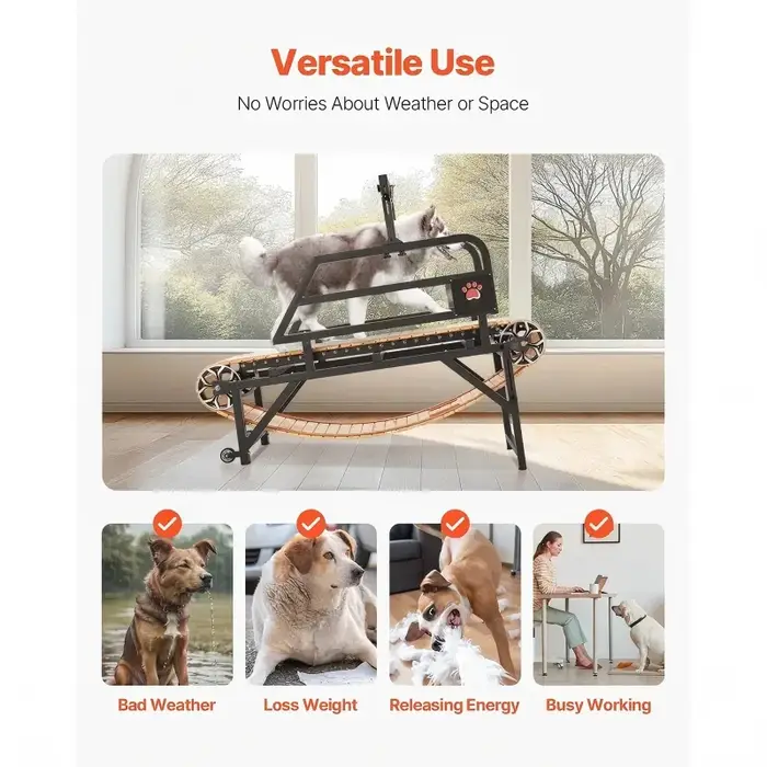 USMILEPET gros bois haute qualité intérieur tapis roulant pour animaux de compagnie Machine de course chien agilité