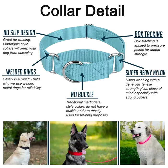 Collier Martingale pour chiens de petite à grande taille, collier d'entraînement réglable en nylon robuste semi-étranglant pour chiens de traction