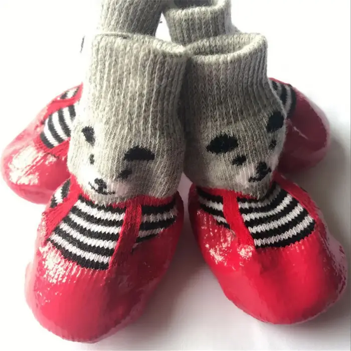 Chaussettes pour chiens pour éviter que les pattes ne soient léchées