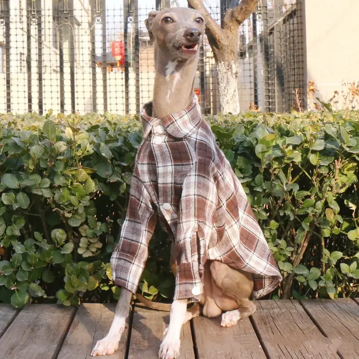 Manteau de printemps à manches longues en coton vert pour chiens mi-chiens