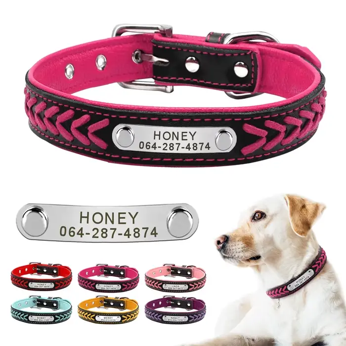 Collier pour chien personnalisé
