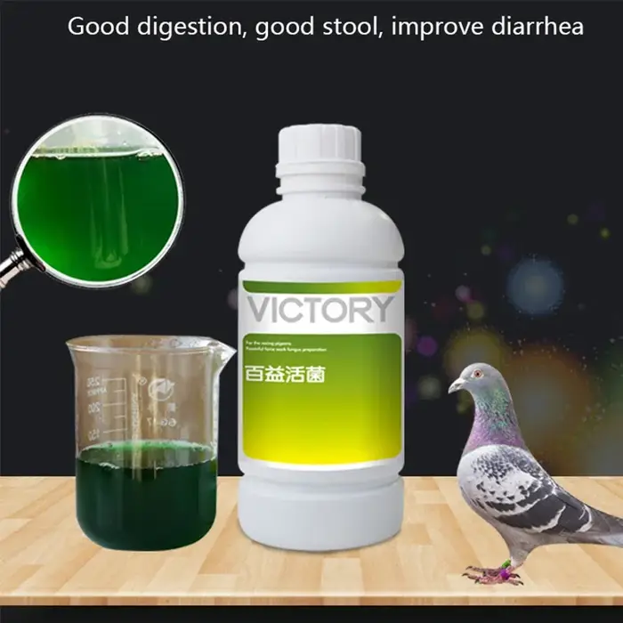 500ml viande Pigeon course Pigeon Homing Pigeon Diarrhée Diarrhée tabouret vert probiotiques gastro-