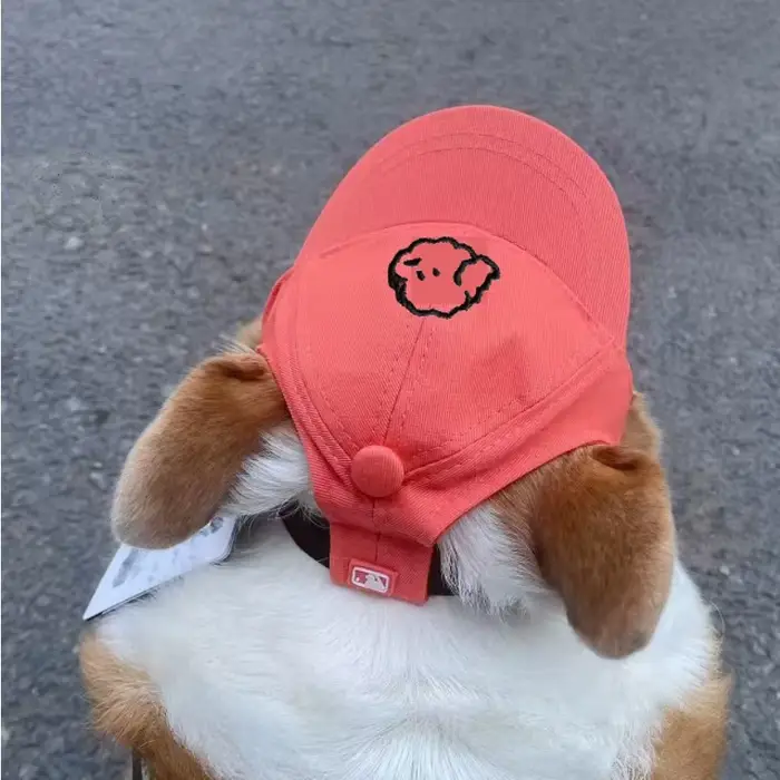 Casquette de baseball pour animaux de compagnie - Version coréenne