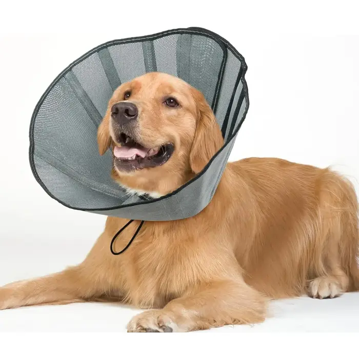 Collier de protection pour chien extra large, alternative souple au collier conique pour chien après