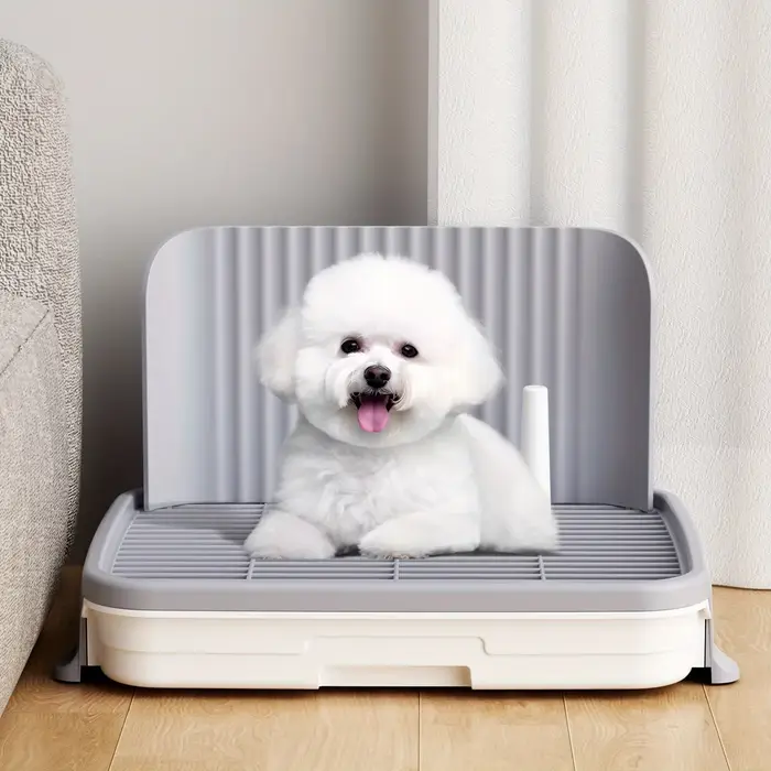 Pot pour chien, plateau à pipi spécifique pour chien