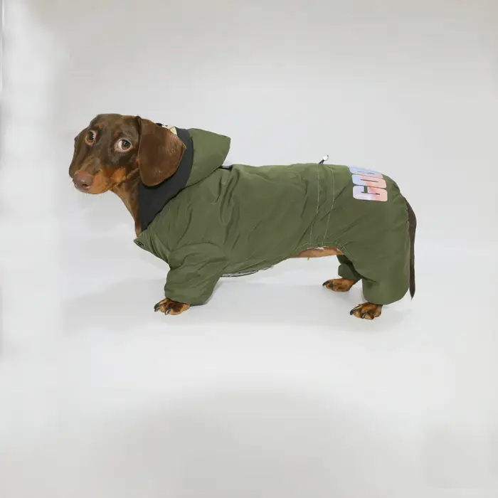 Vêtements d'hiver pour chiens teckel, veste coupe-vent d'extérieur pour chiens Wiener, manteau à cap