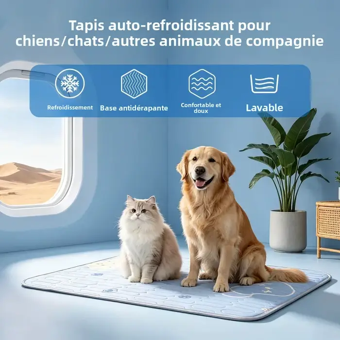 Tapis rafraîchissant pour chien